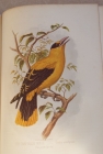 Casseells Book Of Birds Complete Set Of 4 Volumes 008